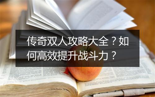 传奇双人攻略大全？如何高效提升战斗力？