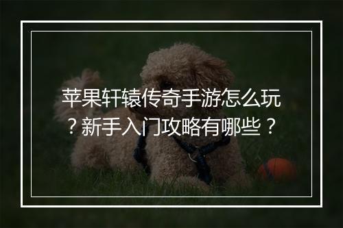 苹果轩辕传奇手游怎么玩？新手入门攻略有哪些？