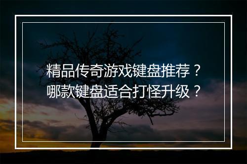 精品传奇游戏键盘推荐？哪款键盘适合打怪升级？