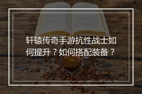 轩辕传奇手游抗性战士如何提升？如何搭配装备？