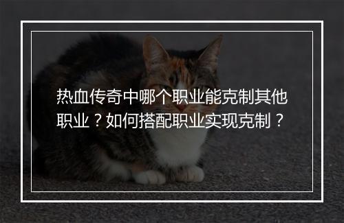 热血传奇中哪个职业能克制其他职业？如何搭配职业实现克制？