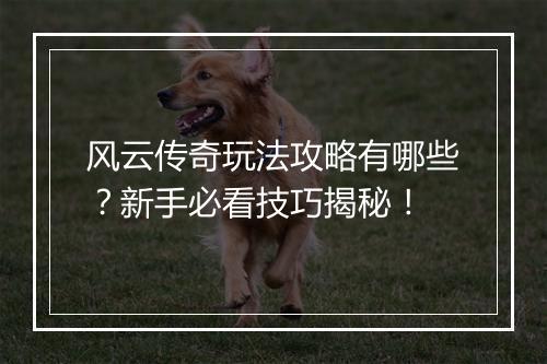 风云传奇玩法攻略有哪些？新手必看技巧揭秘！