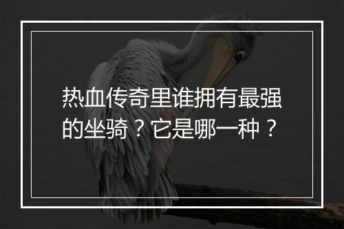 热血传奇里谁拥有最强的坐骑？它是哪一种？