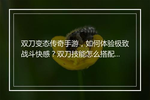 双刀变态传奇手游，如何体验极致战斗快感？双刀技能怎么搭配？