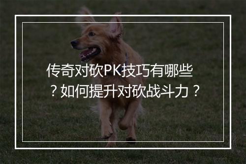 传奇对砍PK技巧有哪些？如何提升对砍战斗力？
