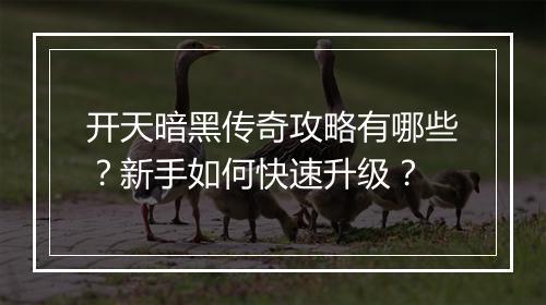 开天暗黑传奇攻略有哪些？新手如何快速升级？