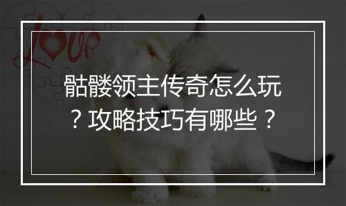 骷髅领主传奇怎么玩？攻略技巧有哪些？