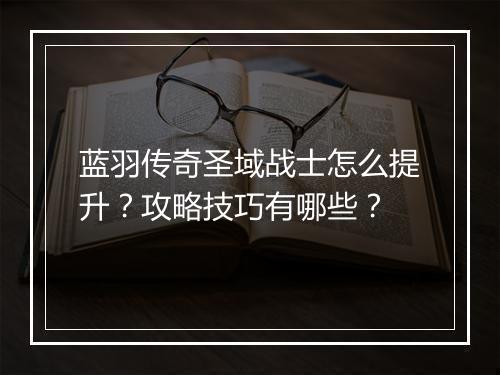 蓝羽传奇圣域战士怎么提升？攻略技巧有哪些？