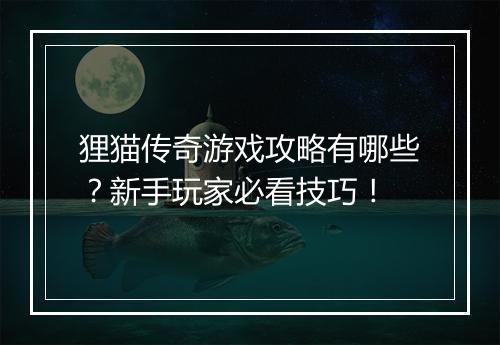 狸猫传奇游戏攻略有哪些？新手玩家必看技巧！