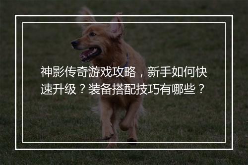 神影传奇游戏攻略，新手如何快速升级？装备搭配技巧有哪些？