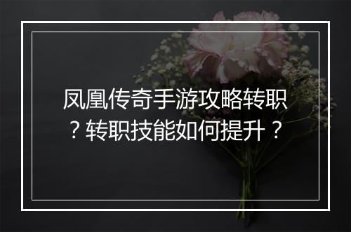 凤凰传奇手游攻略转职？转职技能如何提升？