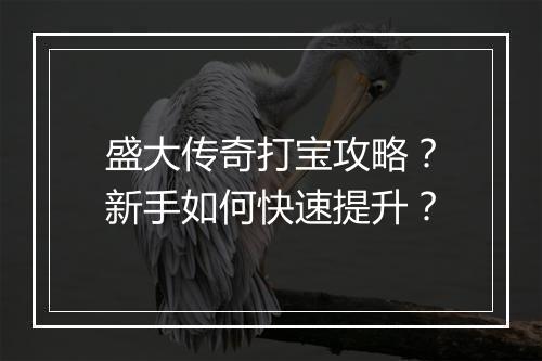 盛大传奇打宝攻略？新手如何快速提升？