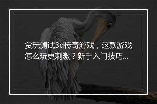 贪玩测试3d传奇游戏，这款游戏怎么玩更刺激？新手入门技巧有哪些？