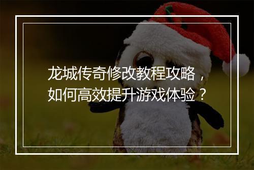龙城传奇修改教程攻略，如何高效提升游戏体验？