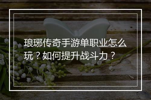 琅琊传奇手游单职业怎么玩？如何提升战斗力？