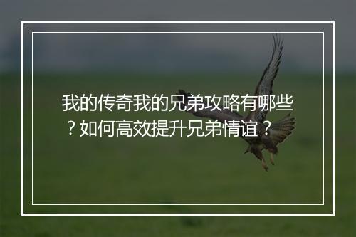 我的传奇我的兄弟攻略有哪些？如何高效提升兄弟情谊？