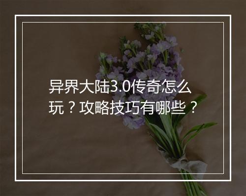 异界大陆3.0传奇怎么玩？攻略技巧有哪些？