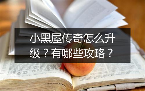 小黑屋传奇怎么升级？有哪些攻略？