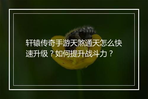 轩辕传奇手游天煞通天怎么快速升级？如何提升战斗力？