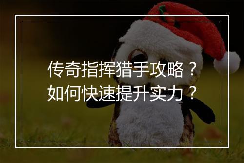 传奇指挥猎手攻略？如何快速提升实力？