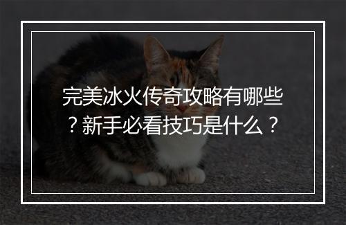 完美冰火传奇攻略有哪些？新手必看技巧是什么？