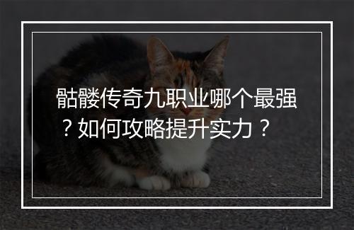 骷髅传奇九职业哪个最强？如何攻略提升实力？