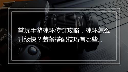 掌玩手游魂环传奇攻略，魂环怎么升级快？装备搭配技巧有哪些？