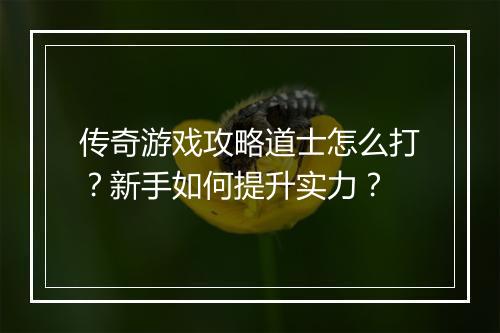 传奇游戏攻略道士怎么打？新手如何提升实力？