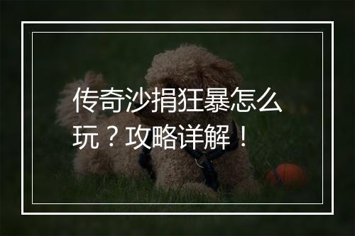 传奇沙捐狂暴怎么玩？攻略详解！