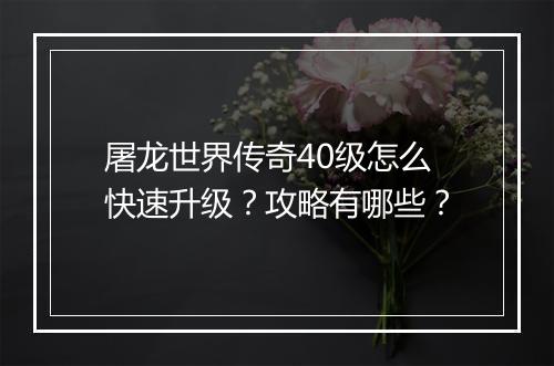 屠龙世界传奇40级怎么快速升级？攻略有哪些？
