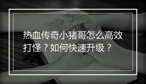 热血传奇小猪哥怎么高效打怪？如何快速升级？