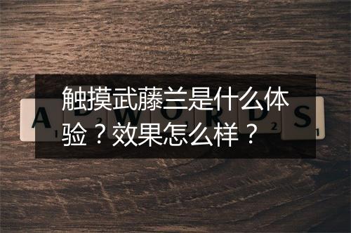 触摸武藤兰是什么体验？效果怎么样？