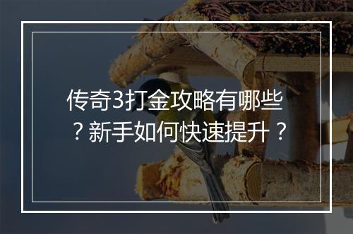 传奇3打金攻略有哪些？新手如何快速提升？