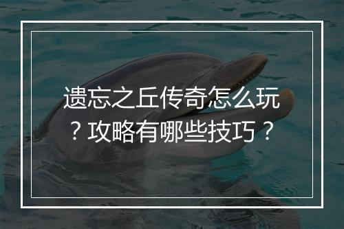 遗忘之丘传奇怎么玩？攻略有哪些技巧？