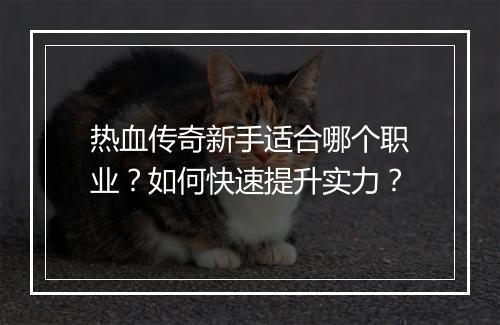 热血传奇新手适合哪个职业？如何快速提升实力？