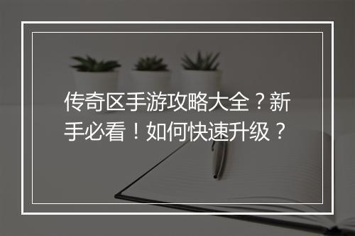 传奇区手游攻略大全？新手必看！如何快速升级？