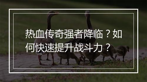热血传奇强者降临？如何快速提升战斗力？