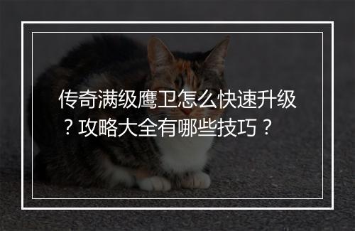 传奇满级鹰卫怎么快速升级？攻略大全有哪些技巧？