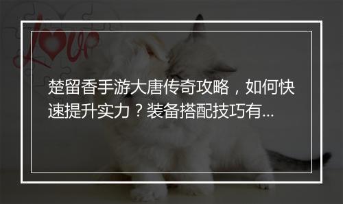 楚留香手游大唐传奇攻略，如何快速提升实力？装备搭配技巧有哪些？
