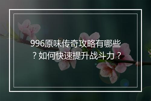 996原味传奇攻略有哪些？如何快速提升战斗力？