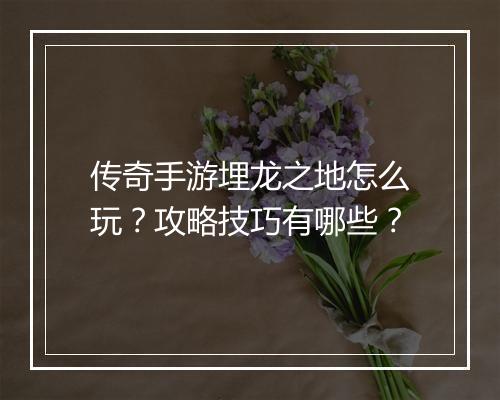 传奇手游埋龙之地怎么玩？攻略技巧有哪些？