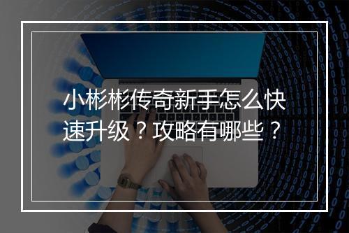小彬彬传奇新手怎么快速升级？攻略有哪些？