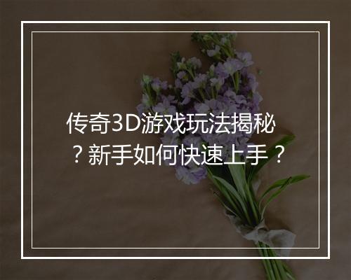 传奇3D游戏玩法揭秘？新手如何快速上手？