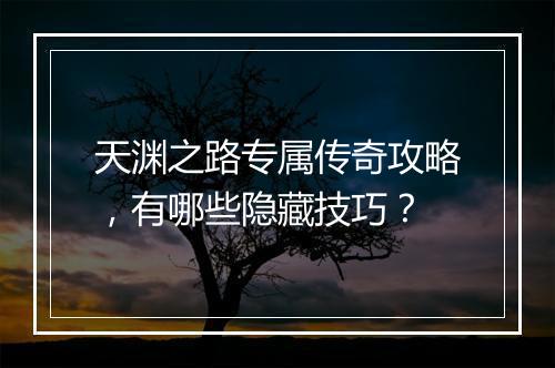 天渊之路专属传奇攻略，有哪些隐藏技巧？