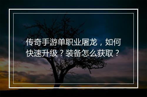 传奇手游单职业屠龙，如何快速升级？装备怎么获取？