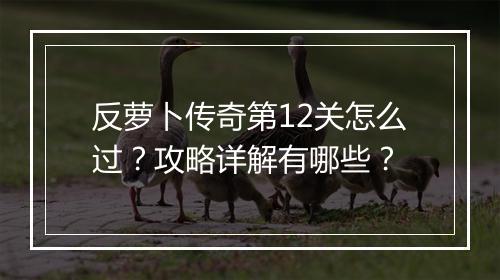 反萝卜传奇第12关怎么过？攻略详解有哪些？