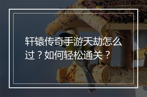 轩辕传奇手游天劫怎么过？如何轻松通关？