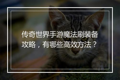 传奇世界手游魔法刷装备攻略，有哪些高效方法？