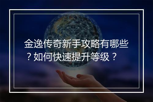金逸传奇新手攻略有哪些？如何快速提升等级？