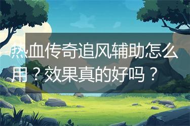 热血传奇追风辅助怎么用？效果真的好吗？